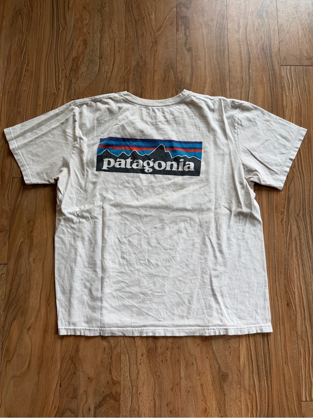 Vintage Patagonia P-6 Logo t-shirt